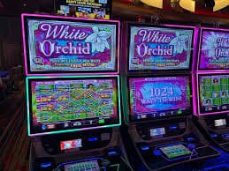 Antarmuka taruhan VIP Roulette di fungame77 Antarmuka taruhan VIP Roulette di fungame77